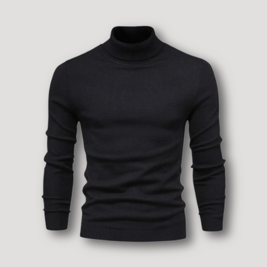 Long Sleeve Slim Fitted Plain Turtleneck Sweater