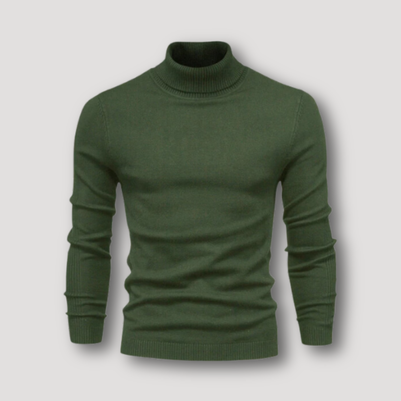 Long Sleeve Slim Fitted Plain Turtleneck Sweater