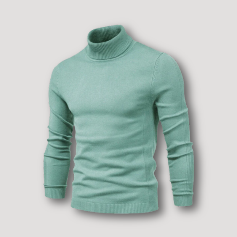 Long Sleeve Slim Fitted Plain Turtleneck Sweater