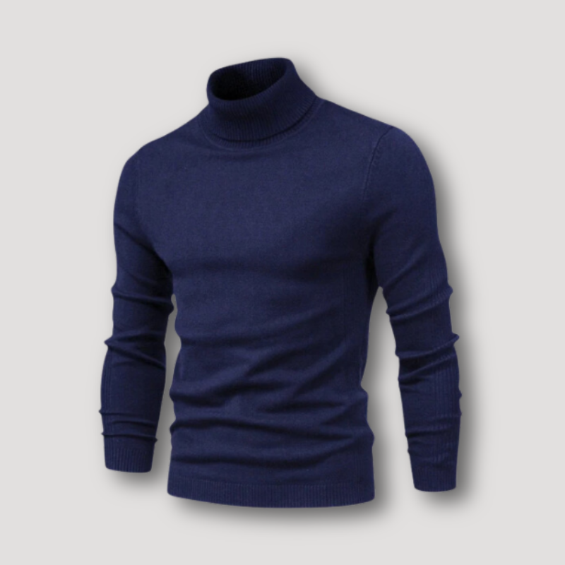 Long Sleeve Slim Fitted Plain Turtleneck Sweater