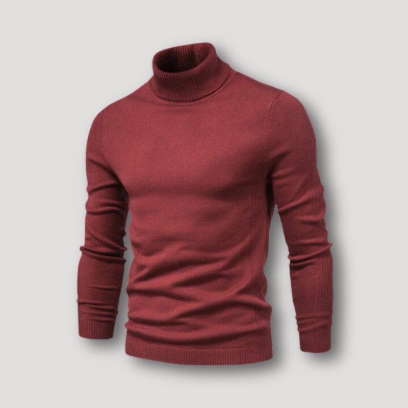 Long Sleeve Slim Fitted Plain Turtleneck Sweater