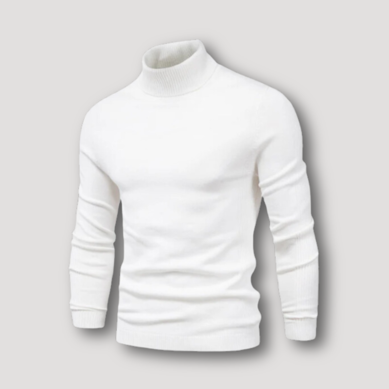 Long Sleeve Slim Fitted Plain Turtleneck Sweater