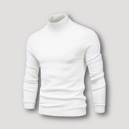 Long Sleeve Slim Fitted Plain Turtleneck Sweater