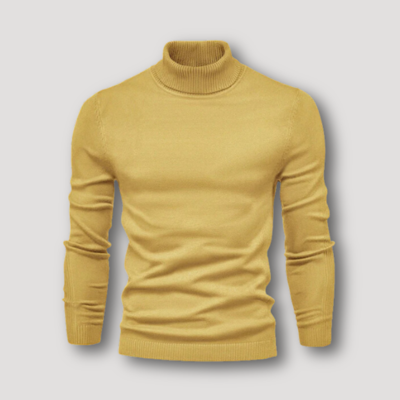 Long Sleeve Slim Fitted Plain Turtleneck Sweater