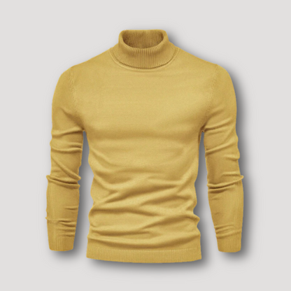 Long Sleeve Slim Fitted Plain Turtleneck Sweater